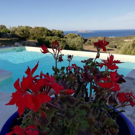 La Sima Villa Con Piscina Vista Mare San Pantaleo Sardegna מראה חיצוני תמונה
