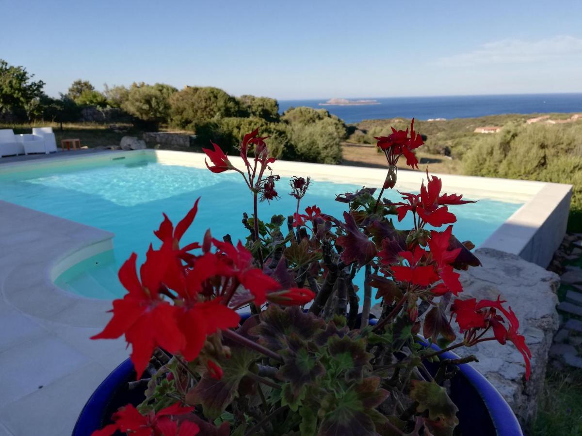 La Sima Villa Con Piscina Vista Mare San Pantaleo Sardegna מראה חיצוני תמונה